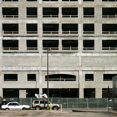 Parc Chestnut by Daniel Kieckhefer