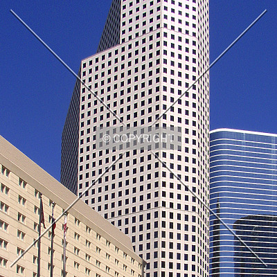 1600 Smith Street by Chris Patriarca