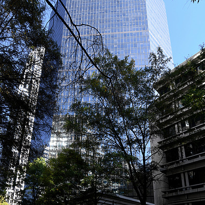 Bank of America Plaza by John W. Cahill