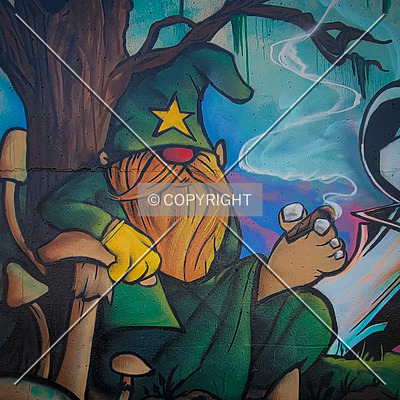 Saint Louis City Flood Wall (South Wall) by Ryan Hildebrand