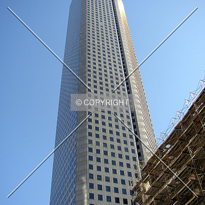 600 Travis by Chris Patriarca