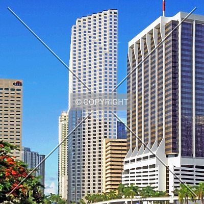Southeast Financial Center by Jorge Molina