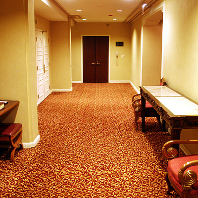 InterContinental Chicago Hotel by Daniel Kieckhefer