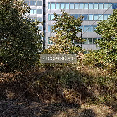 Access Tower by Nephilim