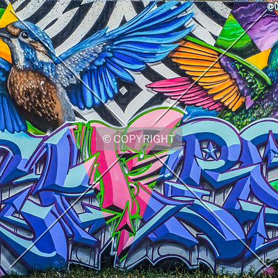 Saint Louis City Flood Wall (South Wall) by Ryan Hildebrand