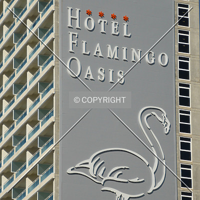 Hotel Flamingo Oasis by Nephilim