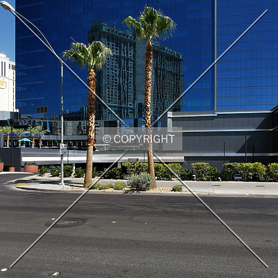 Elara by Hilton Grand Vacations by Nephilim