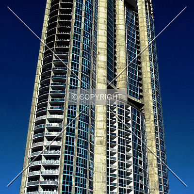 Trump Royale by Jorge Molina