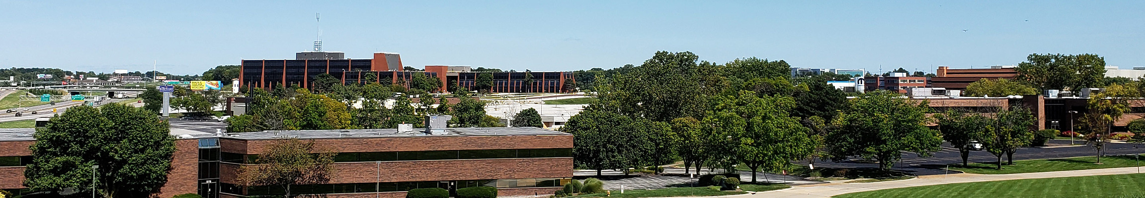 Hazelwood by Nephilim