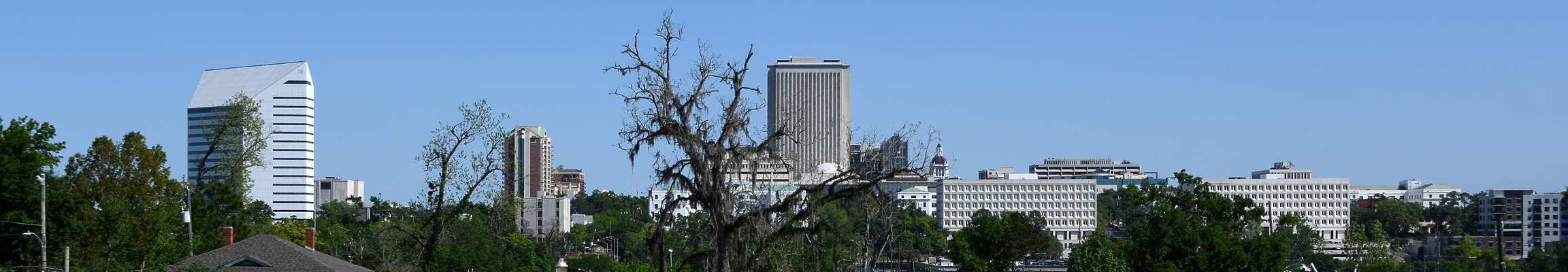 Tallahassee by John W. Cahill
